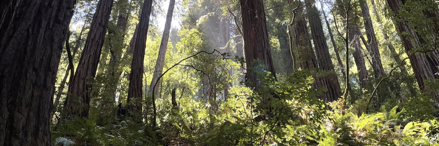 Simon🌱🇳🇴 banner