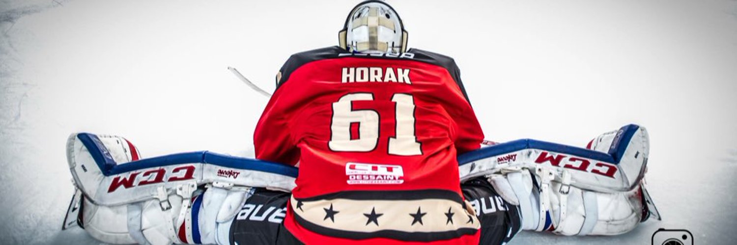 Lukas Horak Profile Banner