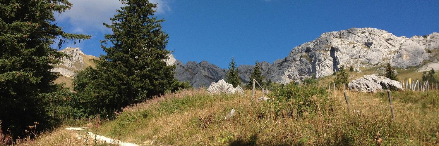 Forrest Blount (he/him) banner