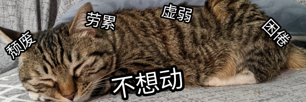 立音喵 banner