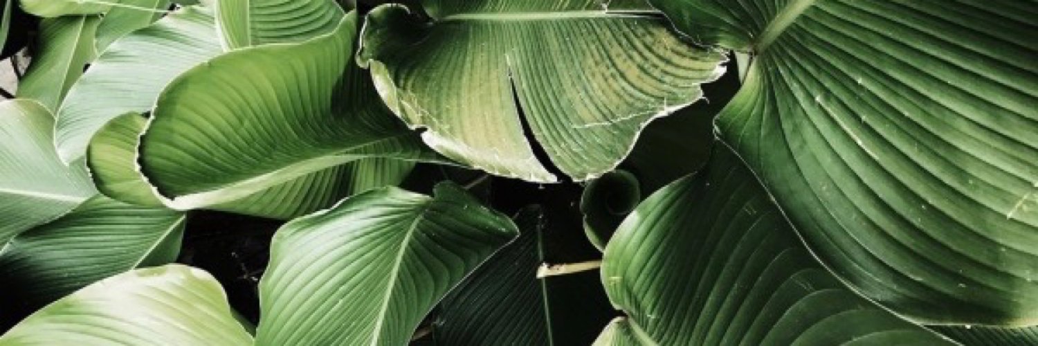 C. banner