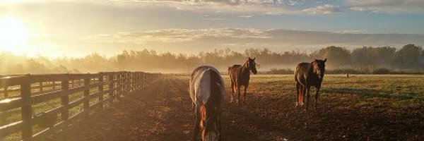 BenGoldey Profile Banner