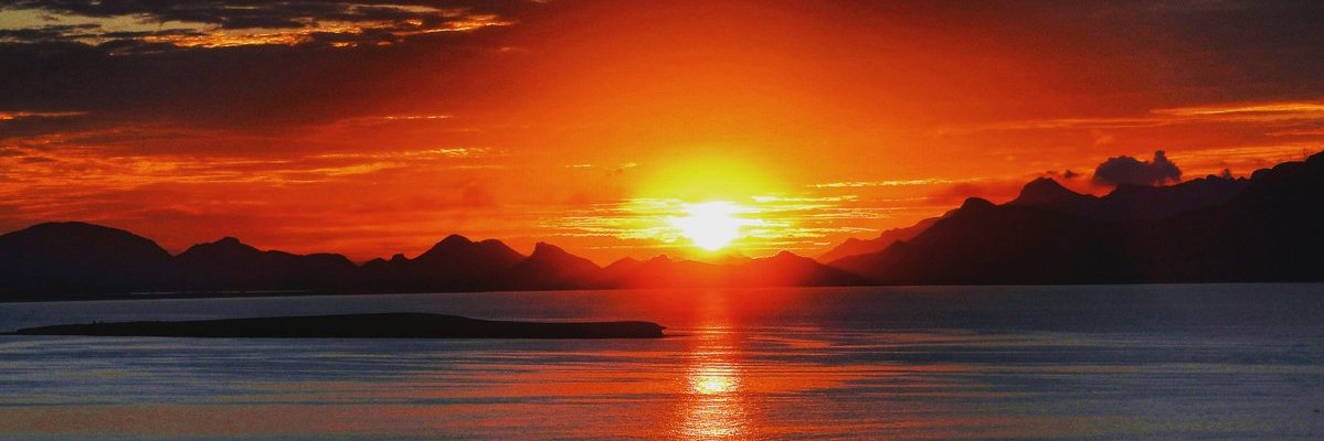 XimiRice's profile banner image