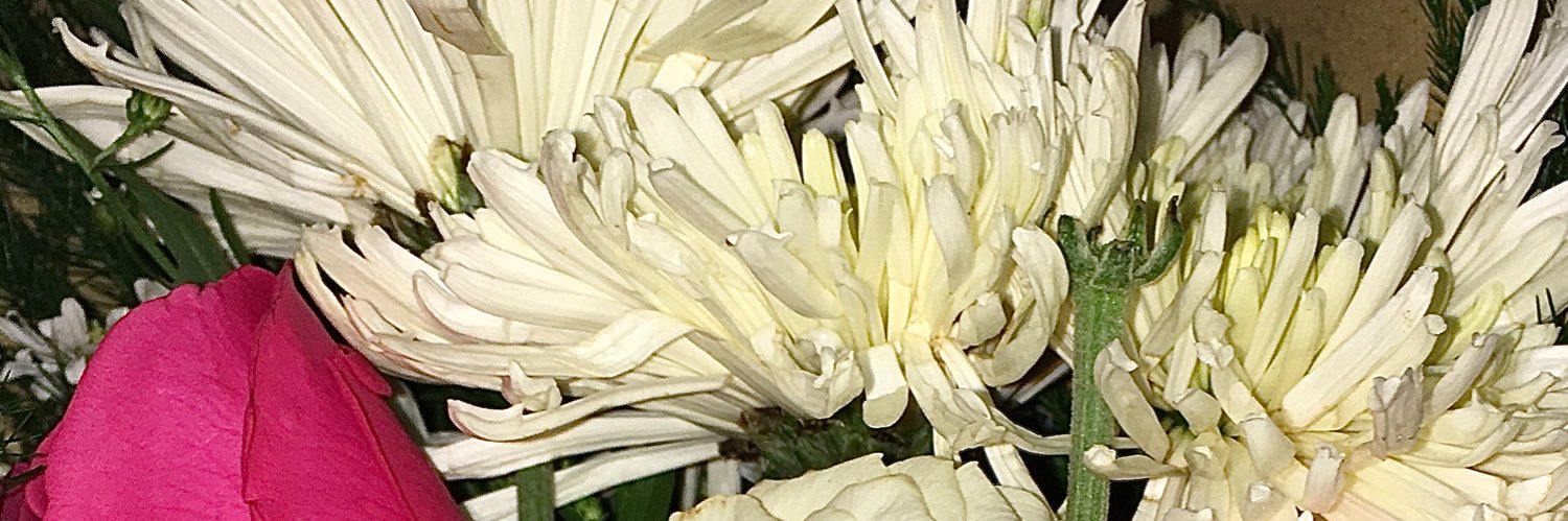 urfavnra's profile banner image