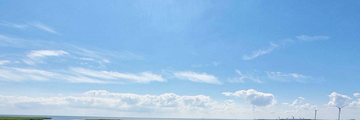 ipsapipsaFTW's profile banner image
