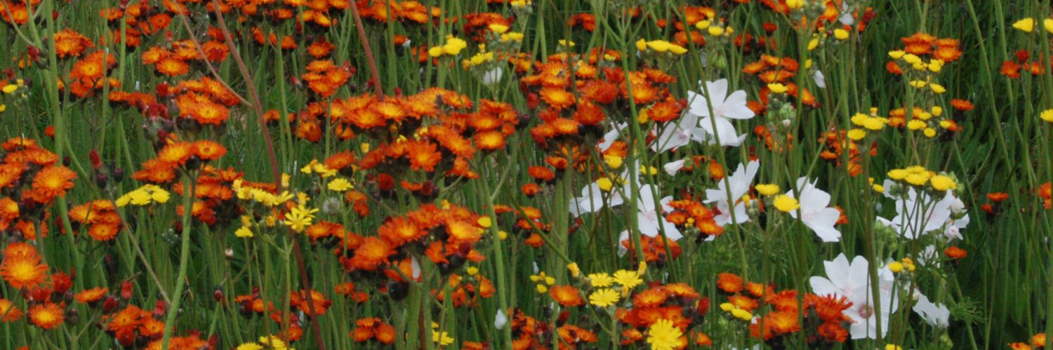 garth_wunsch's profile banner image