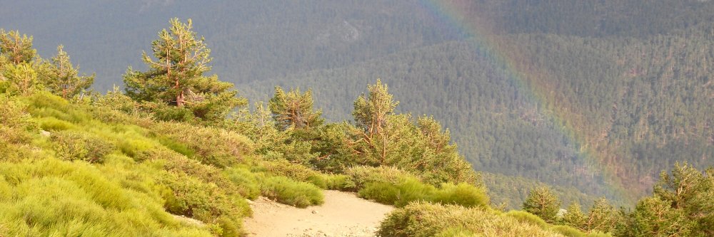 SisOkuay's profile banner image