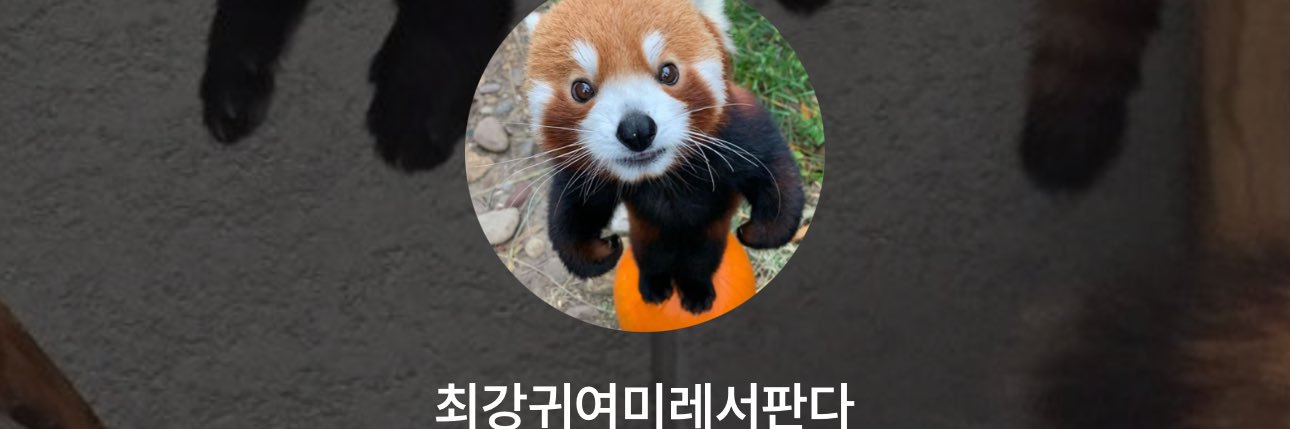 lu__yia_'s profile banner image