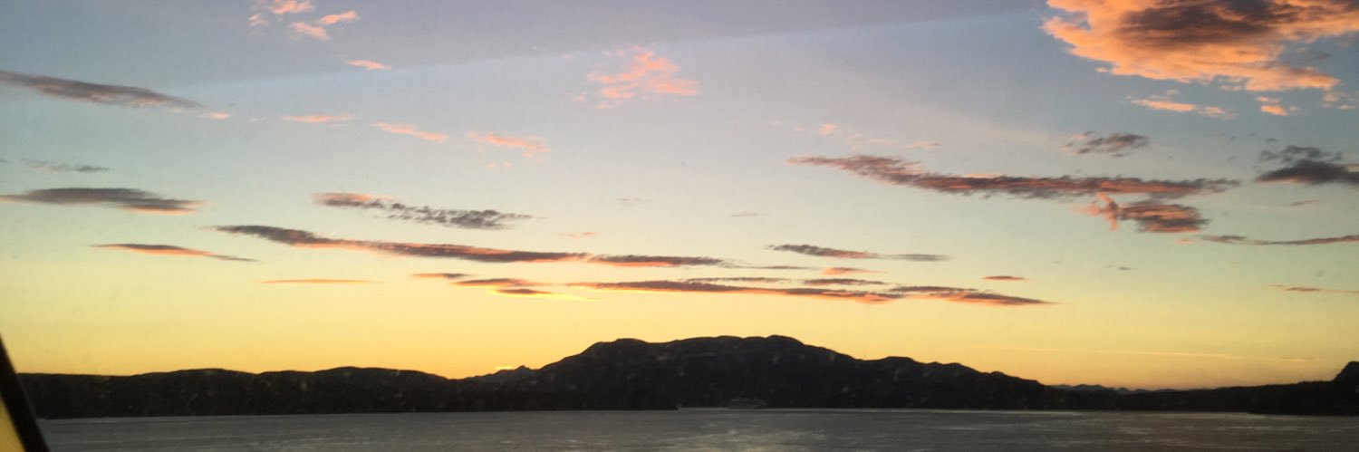 catherine krupinski banner