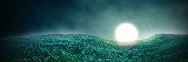 thecaravelnet Profile Banner