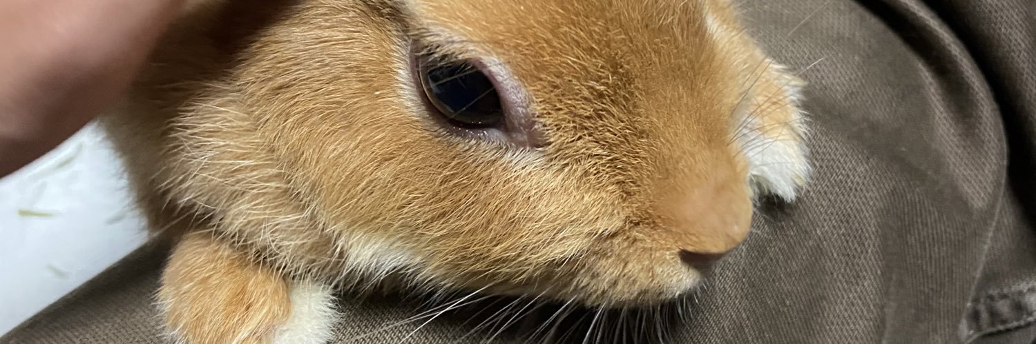 JUNtyannn's profile banner image
