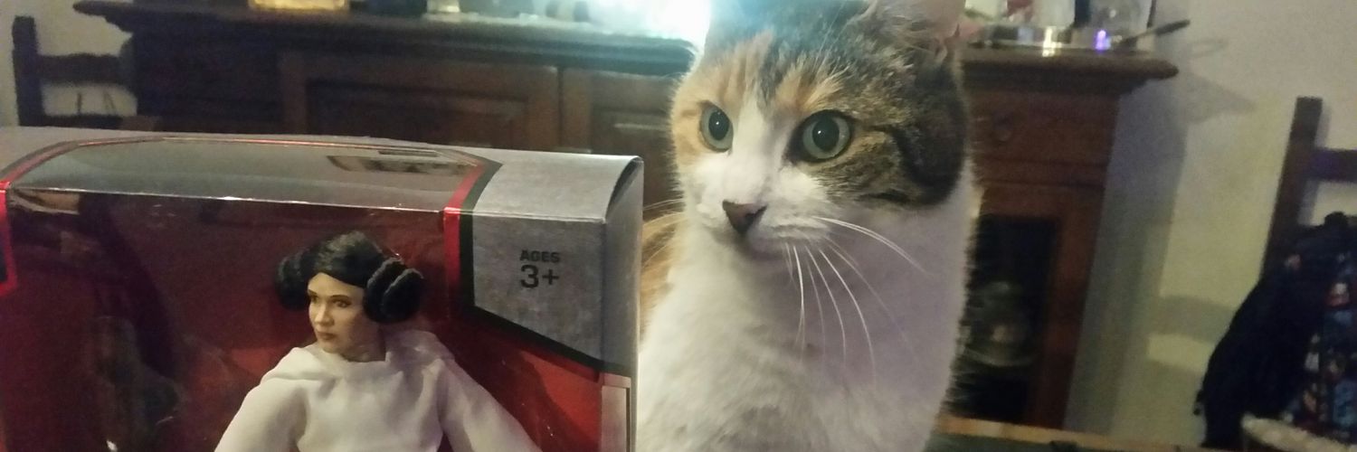 VeronicaP1994's profile banner image