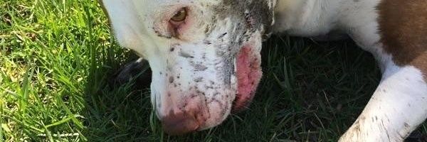 AmandaHamricko's profile banner image