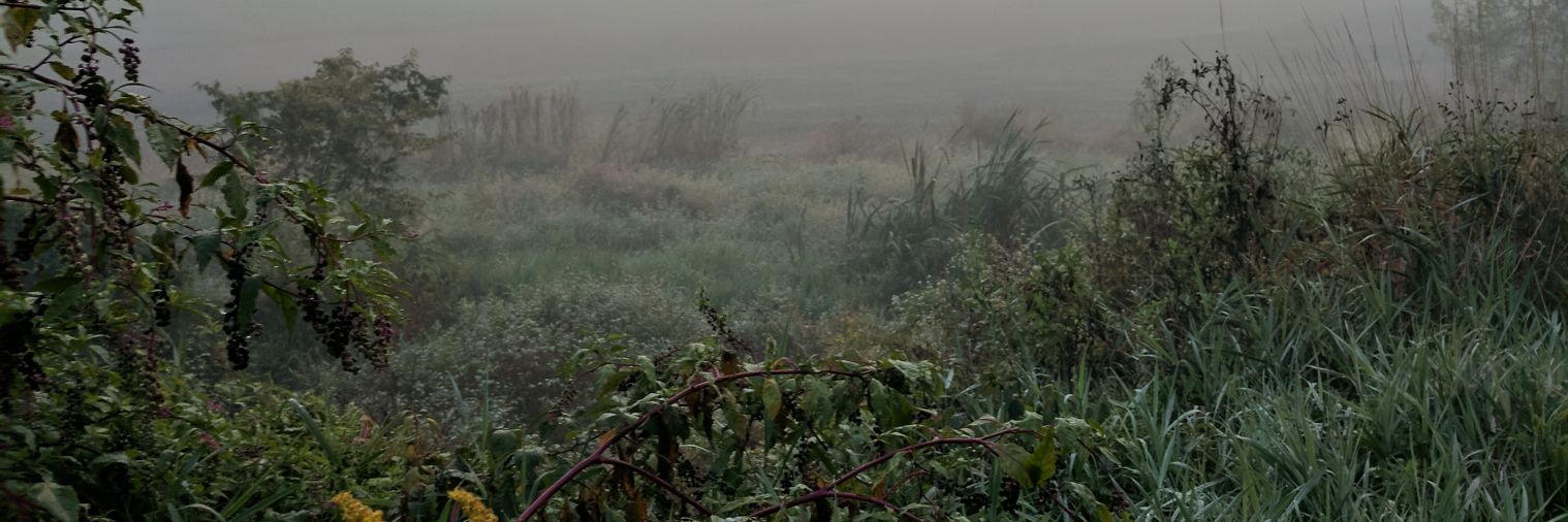 statgreg104's profile banner image