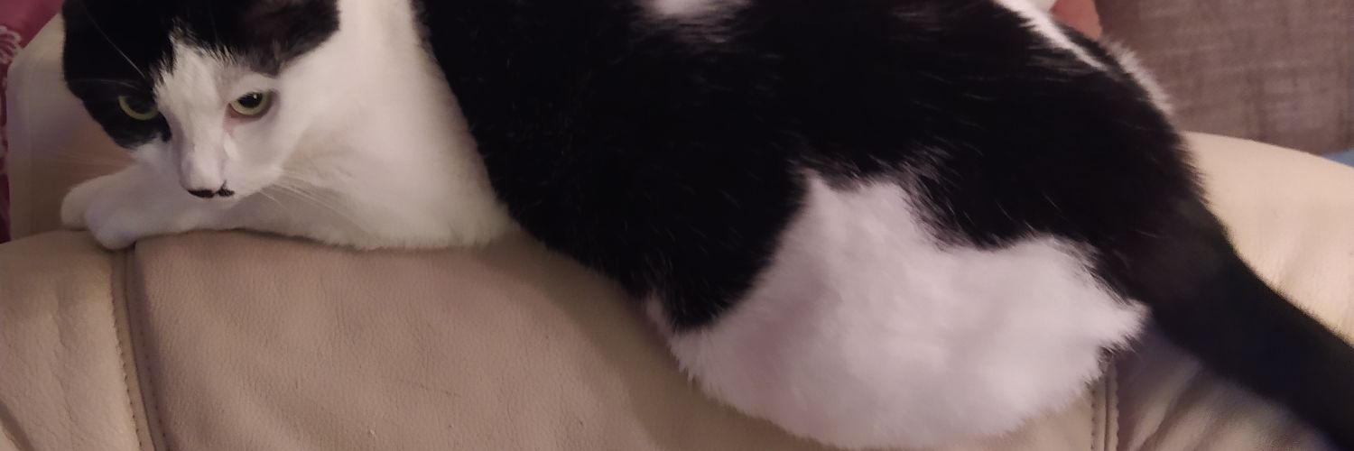 Barbara Behrens 🐈😘's banner