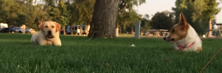 spaans91's profile banner image