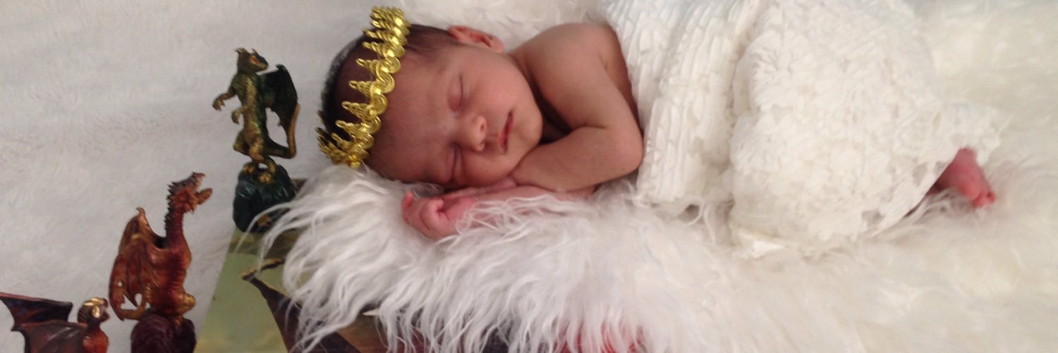 Henry Porter Bridges banner