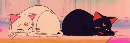 viola_angl's profile banner image