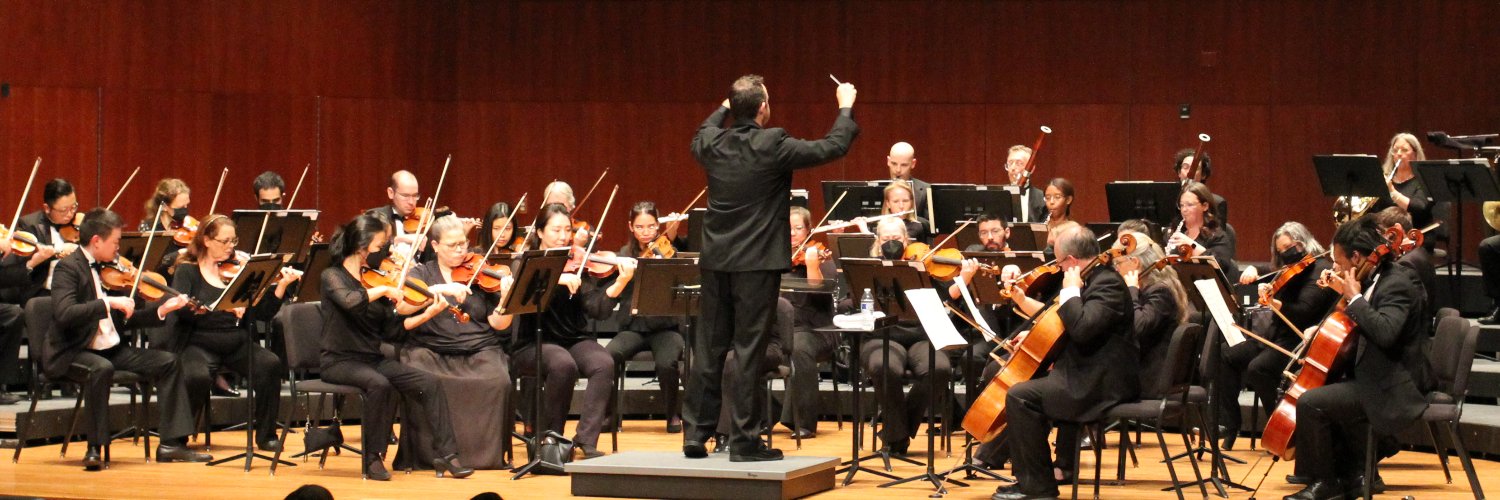 theSMSO's profile banner image