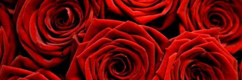 L5i8fj57's profile banner image