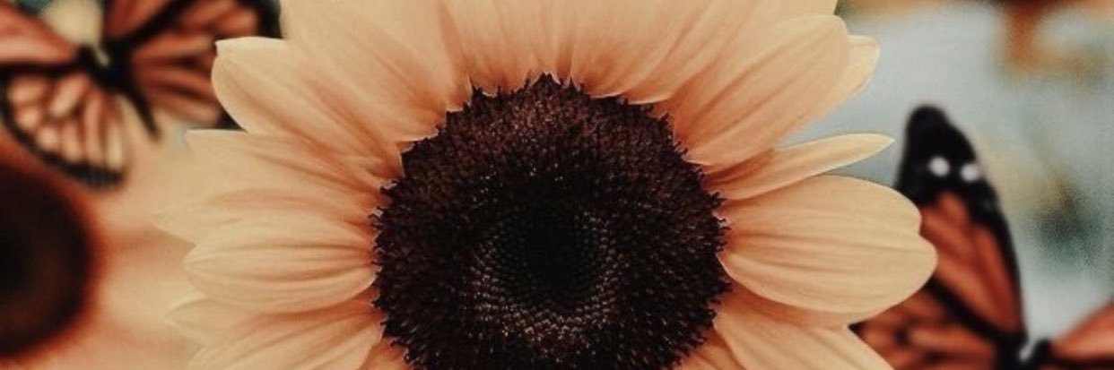 albita012's profile banner image