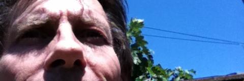 gbowilson's profile banner image