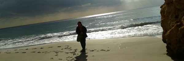 CarolMarqus3 Profile Banner