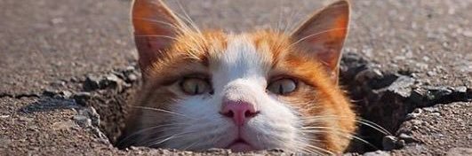 cockbig45's profile banner image