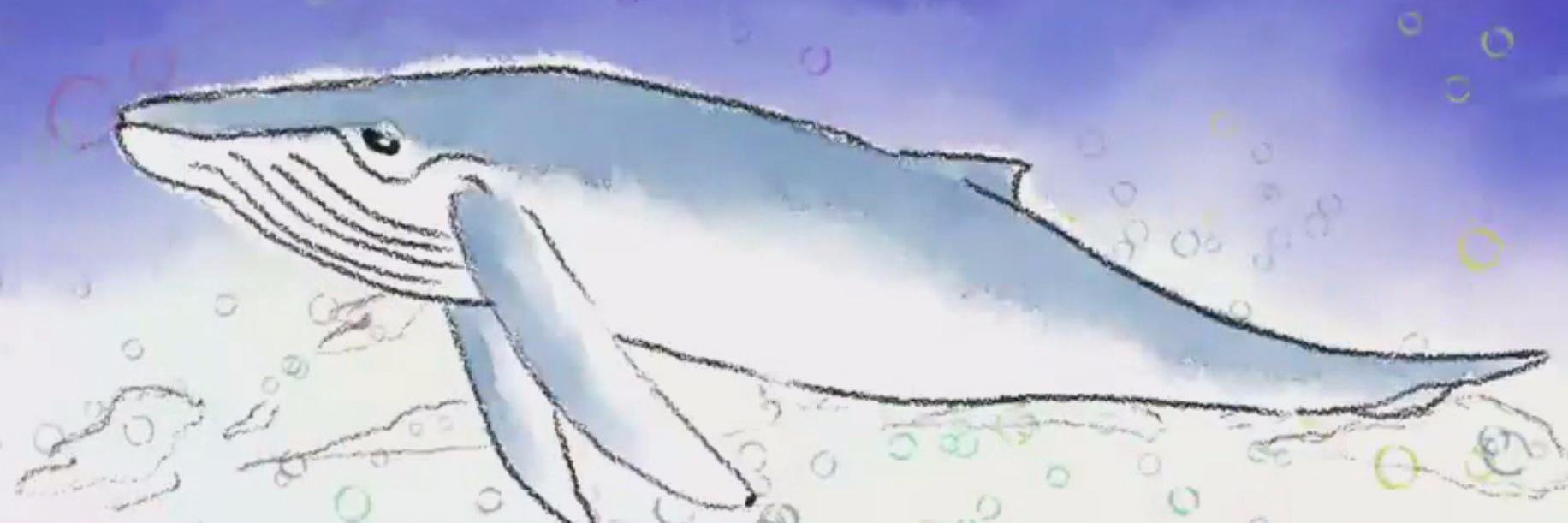 kumimaru's profile banner image