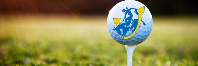 SAU Golf banner