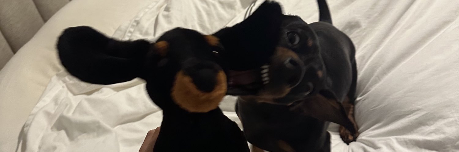 ArianeGllt's profile banner image