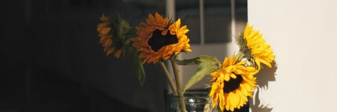 _lllalii's profile banner image
