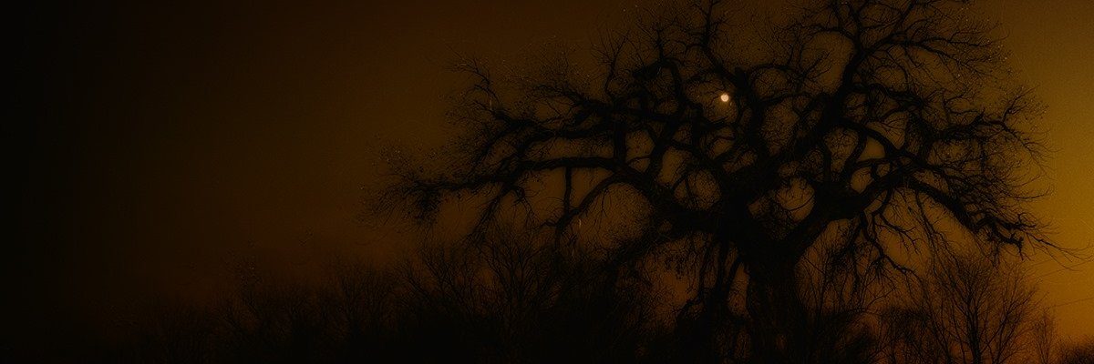 Cnaw's profile banner image