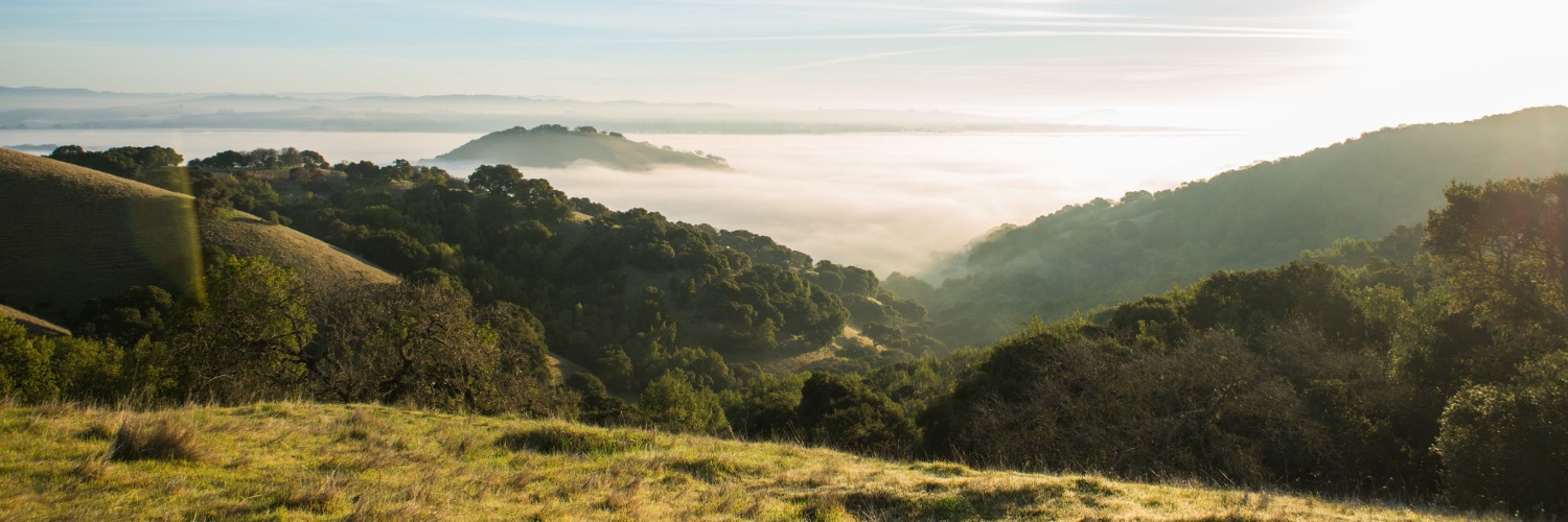 Hoffman Institute banner
