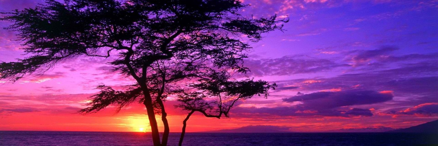 Dizzy Scruples 💙 🇺🇲 banner