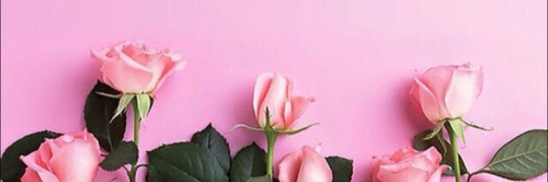JoycekarolineS's profile banner image