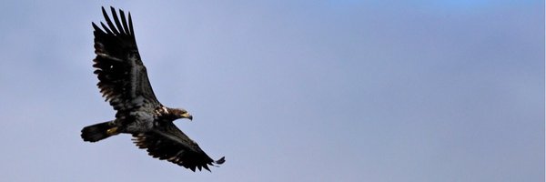 SyedAHussain15 Profile Banner