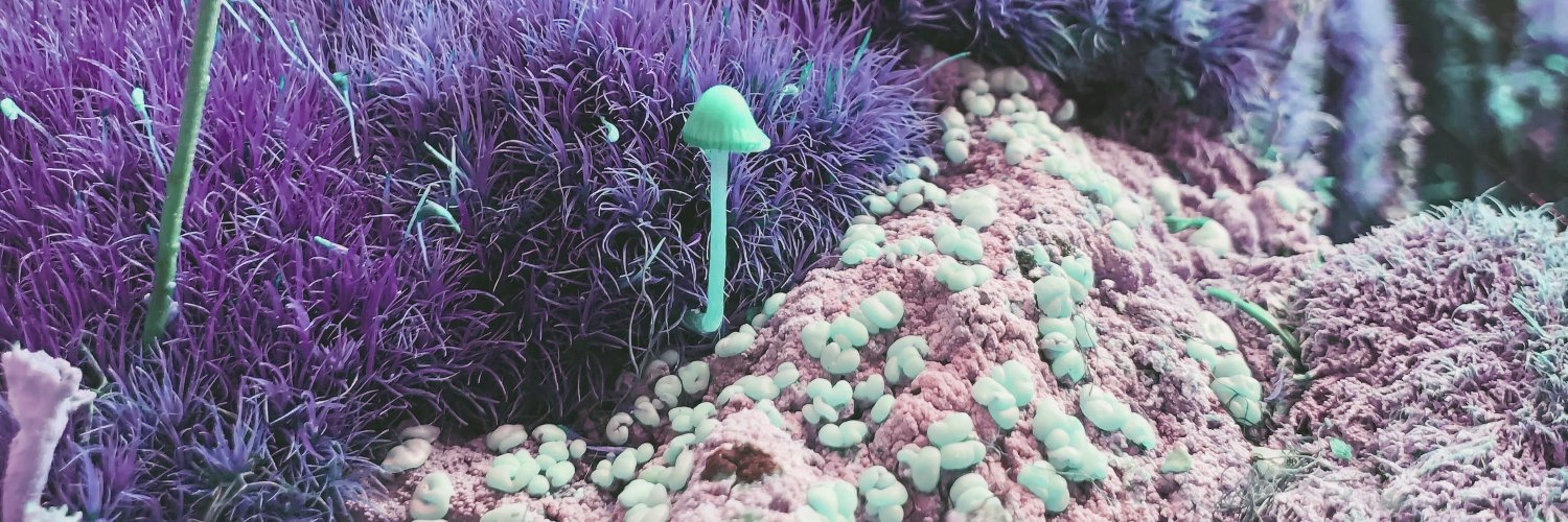 Isabel Correa banner