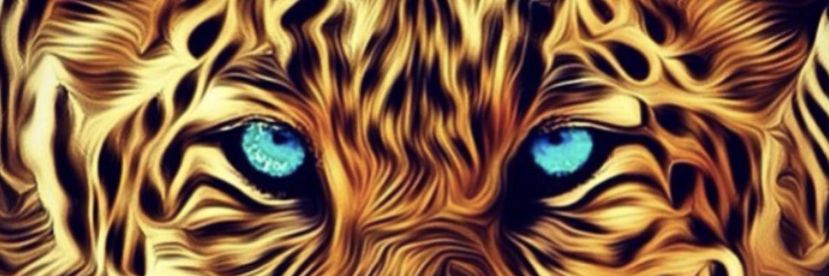 bjay_2g's profile banner image