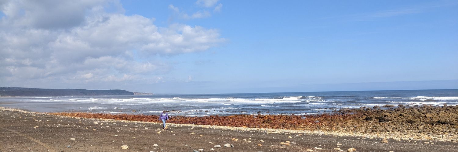 Stephen Addinall banner