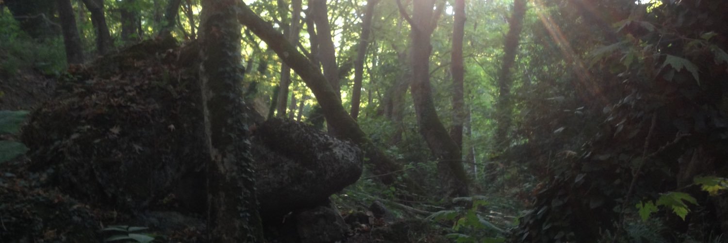 moxti66984's profile banner image