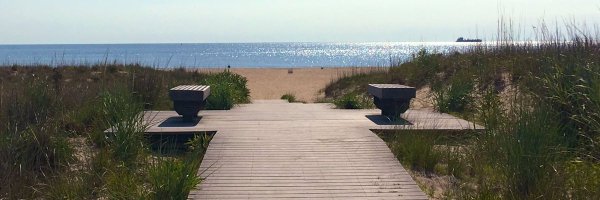 Hello_Newman00 Profile Banner