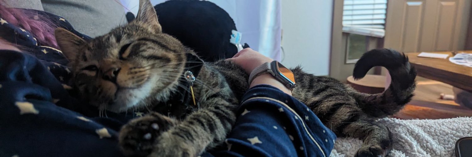 Hailey_Comette's profile banner image