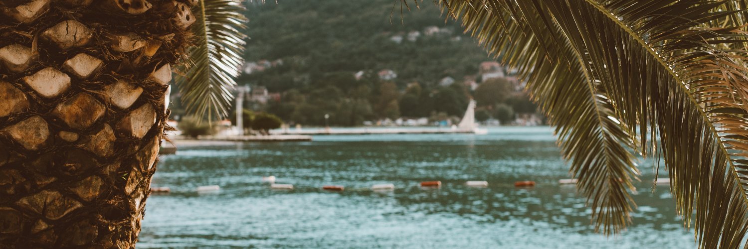 pptoniorb's profile banner image
