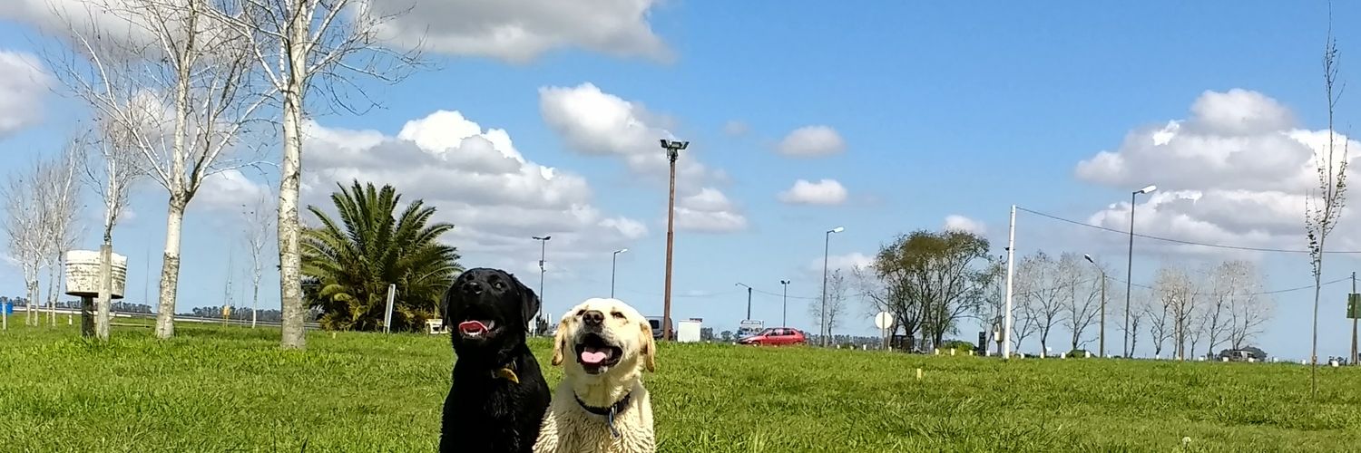 NicooA87's profile banner image