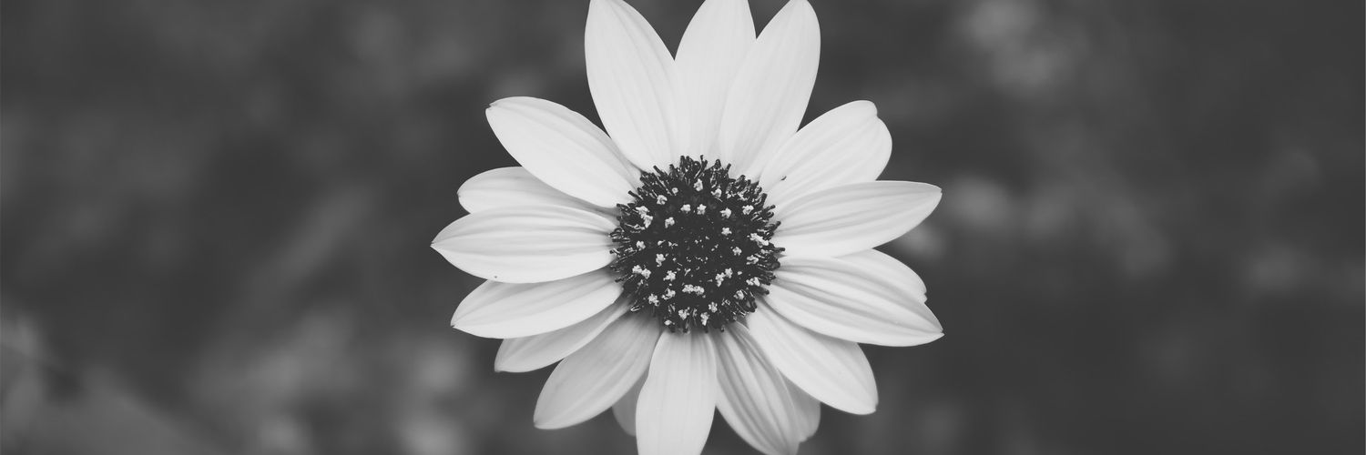 ruchaheda's profile banner image