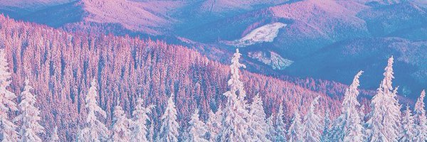 _HarlowPuppy_ Profile Banner