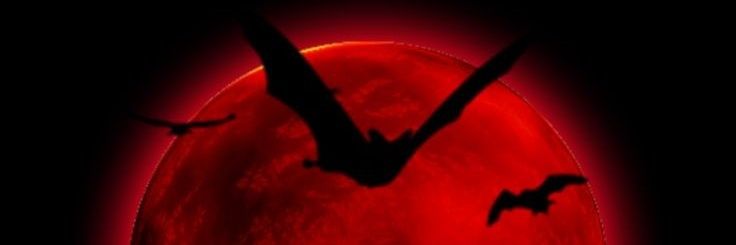 rotten_c0rpse's profile banner image