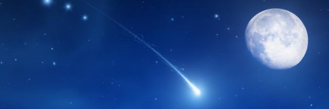 chippegogo's profile banner image