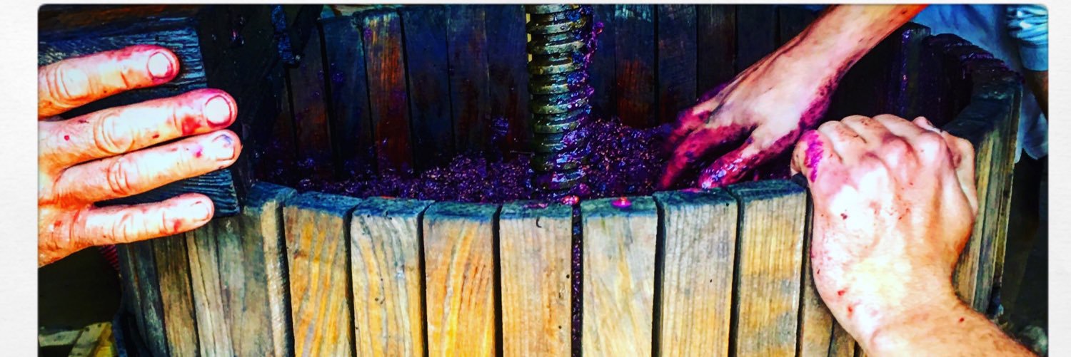 winecreation's profile banner image